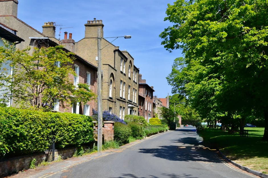 A residential street in Clapham with a narrow, tree-lined road and terraced brick houses set back from the pavement. Visible are several multi-story buildings with light-colored brick facades, chimneys, and large windows, some with decorative arches. The street is partly shaded by lush green trees on both sides, with vibrant foliage and well-maintained shrubs and hedges along the front gardens. A tall streetlamp stands centrally, and the sky overhead is clear and blue. The scene captures a peaceful urban environment suitable for house removals, with no vehicles or moving equipment in sight, indicating a quiet period during a home relocation process. Man With a Van Clapham may provide services handling furniture transport and packing within such residential areas, ensuring careful and organized home moves amid narrow roads and park access points.